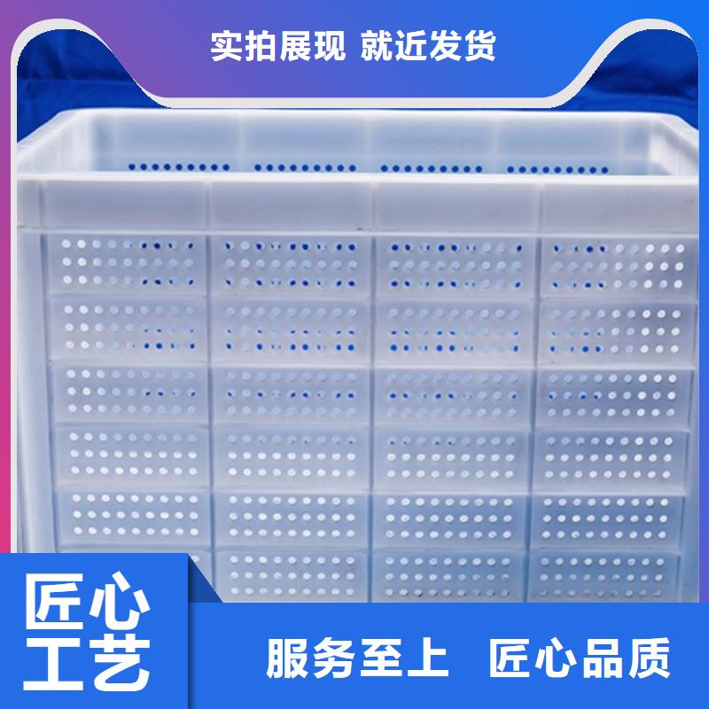【塑料筐】叉车托盘多种规格可选产地货源