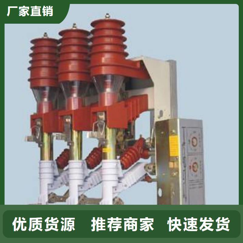 高压负荷开关高压氧化锌避雷器放心选购厂家直销规格多样