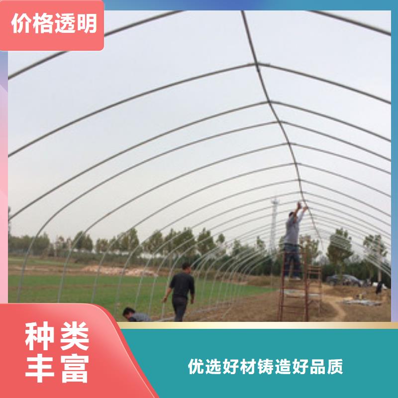 【大棚管镀锌大棚管厂家经验丰富】当地品牌