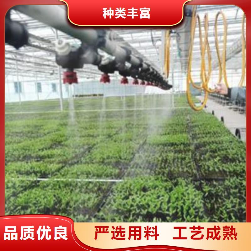 大棚管连体大棚质量看得见专注品质