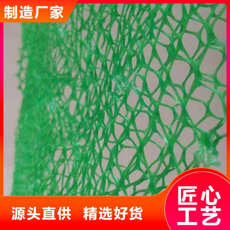 三维植被网蜂巢格室贴心服务精工打造