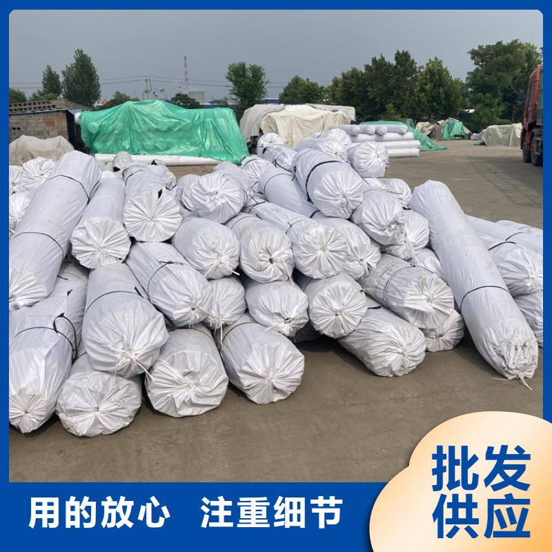 【钢塑土工格栅】单向塑料格栅认准大品牌厂家低价货源