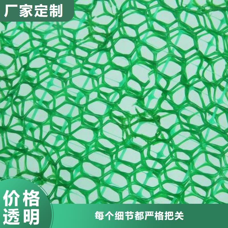 三维植被网护坡土工网详细参数当地服务商