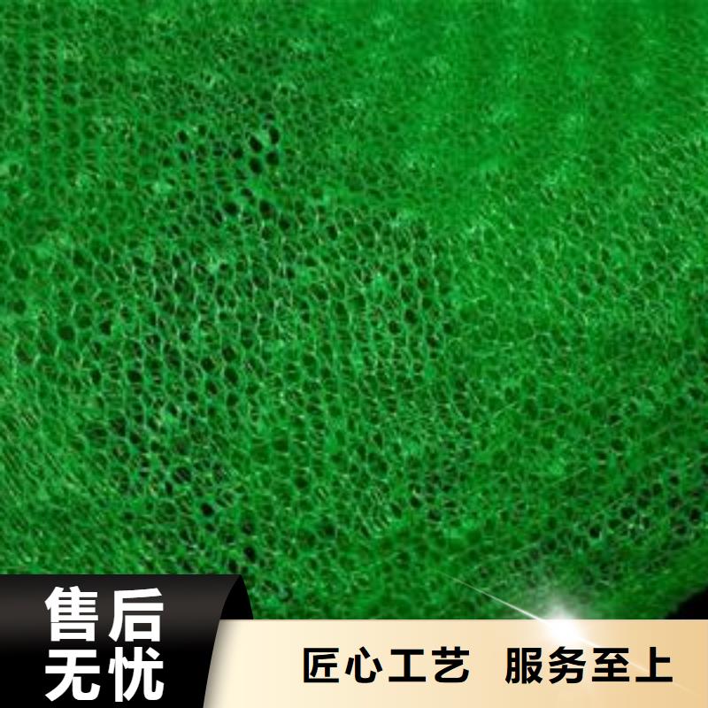 【三维植被网】反滤排水详细参数同城制造商