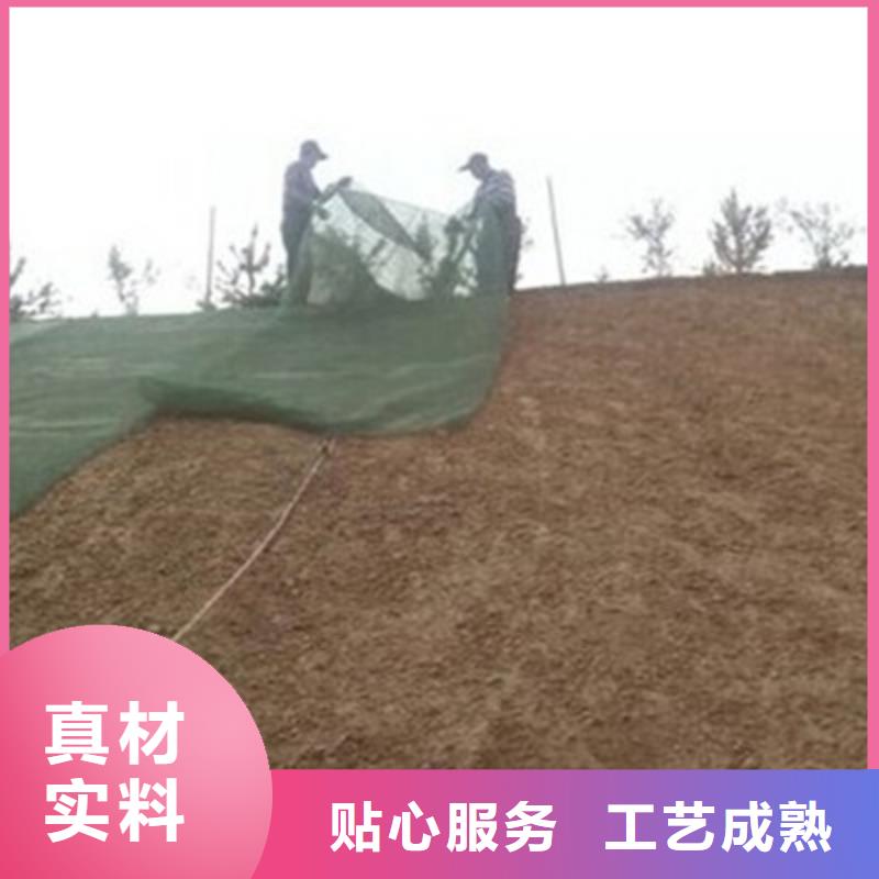 三维植被网保温土工布国标检测放心购买严格把控质量