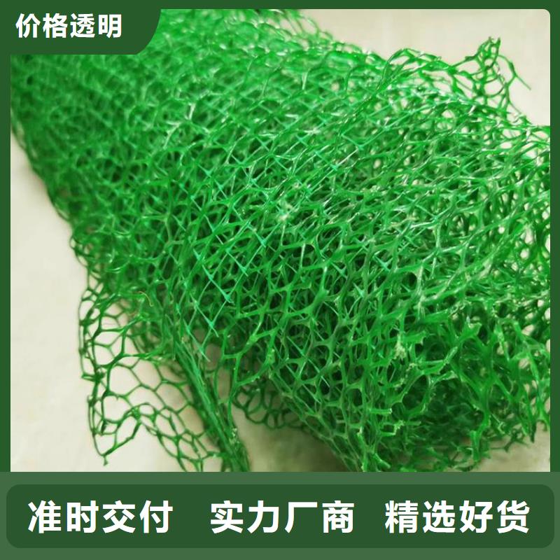 三维植被网,涤纶格栅拥有多家成功案例品质优选