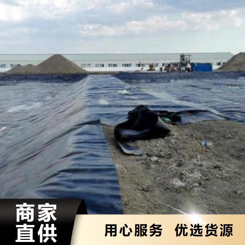 【土工膜pp焊接土工格栅款式多样】出厂严格质检