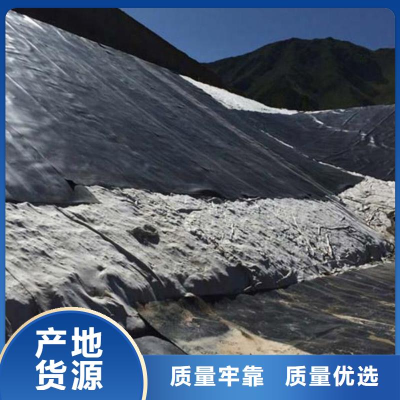 土工膜单向塑料格栅设计合理厂家销售