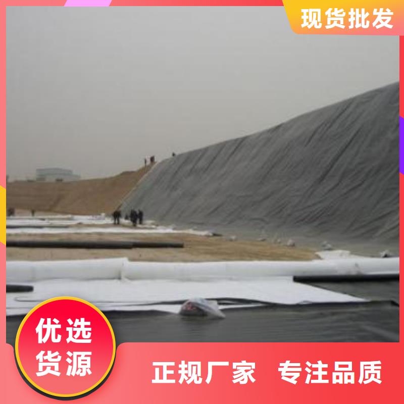 土工膜_短丝土工布颜色尺寸款式定制免费获取报价