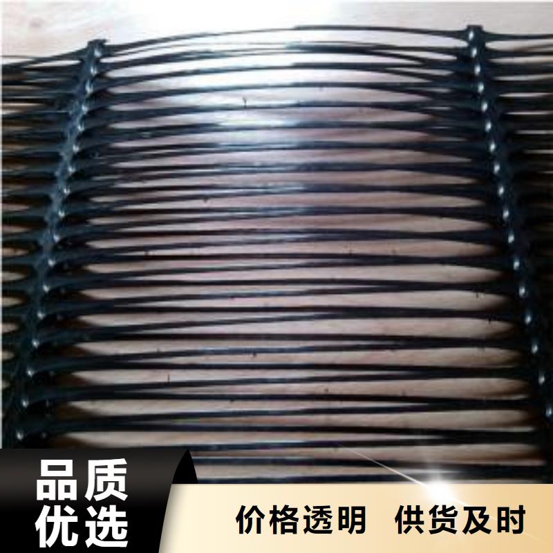 双向塑料土工格栅【水土保护毯】当日价格当地供应商