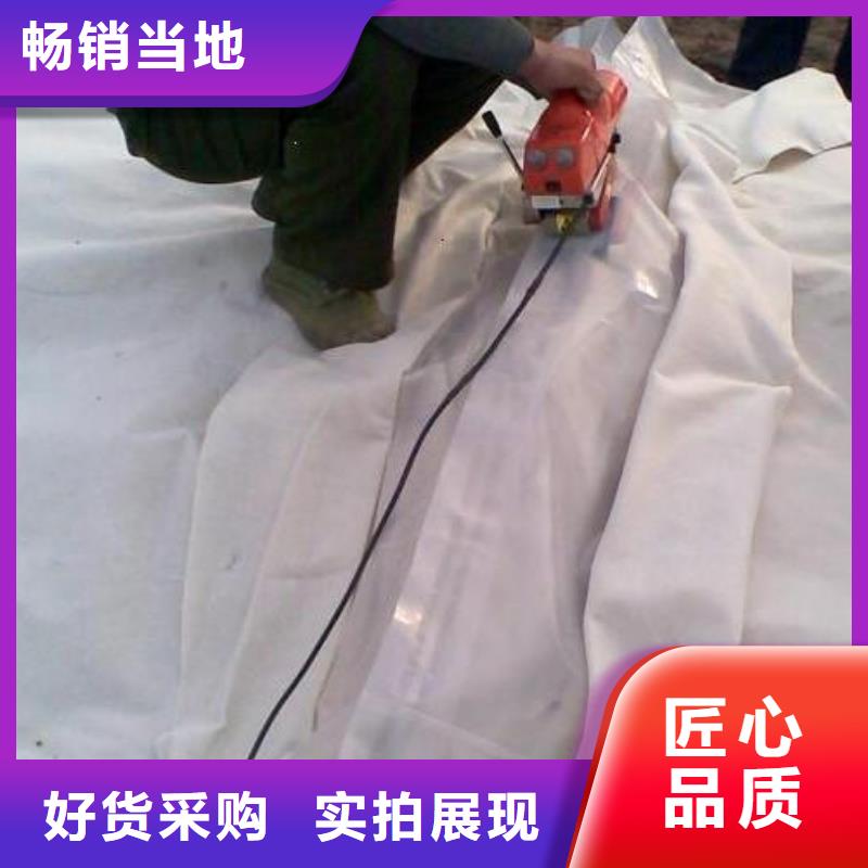 土工膜涤纶土工格栅用心做产品本地经销商