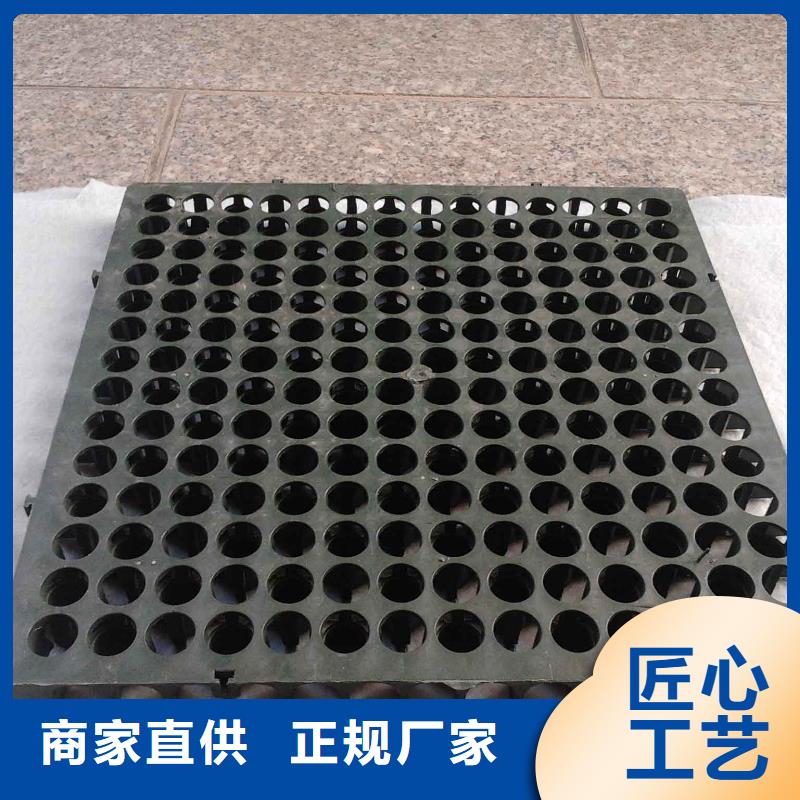 蓄排水板三维复合排水网价格透明市场行情