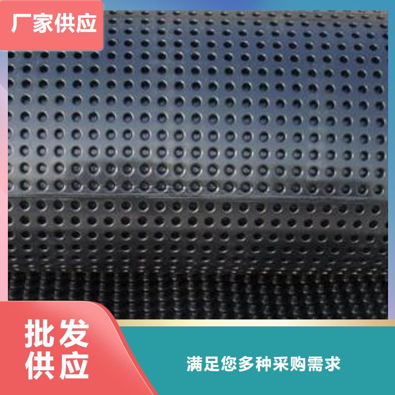 蓄排水板玻纤土工格栅畅销本地精选货源
