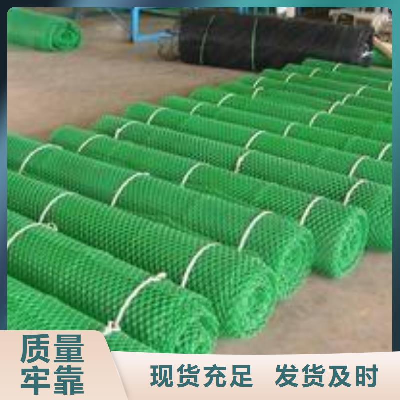 三维植被网钢塑土工格栅24小时下单发货优良工艺