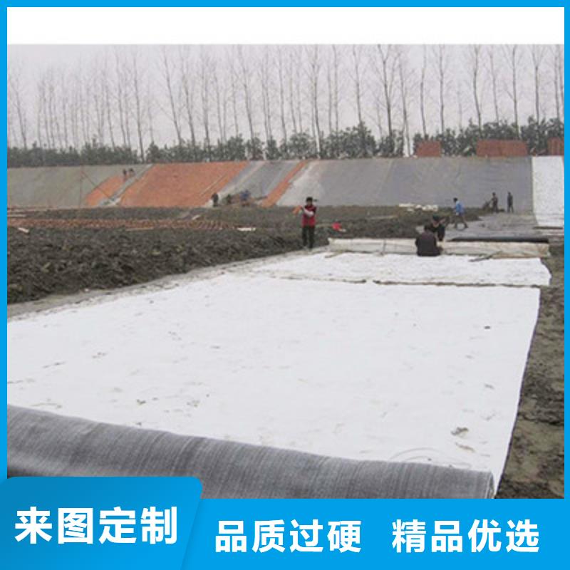 【膨润土防水毯】复合土工膜当地货源注重细节