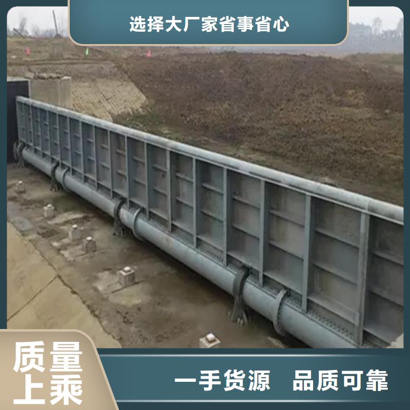 钢闸门实力优品量大更优惠
