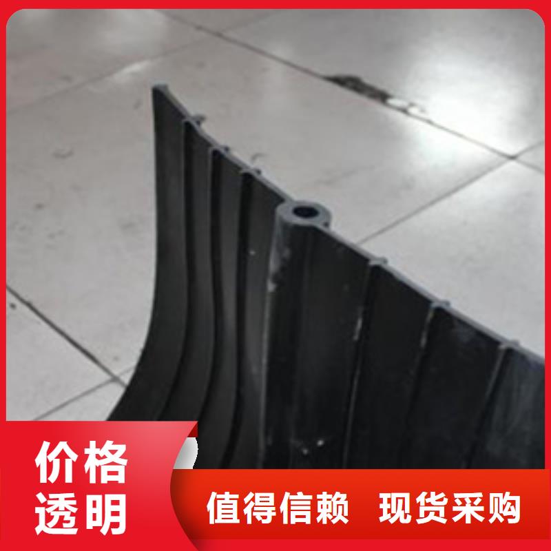 橡胶止水带-桥梁支座更换专业信赖厂家型号齐全