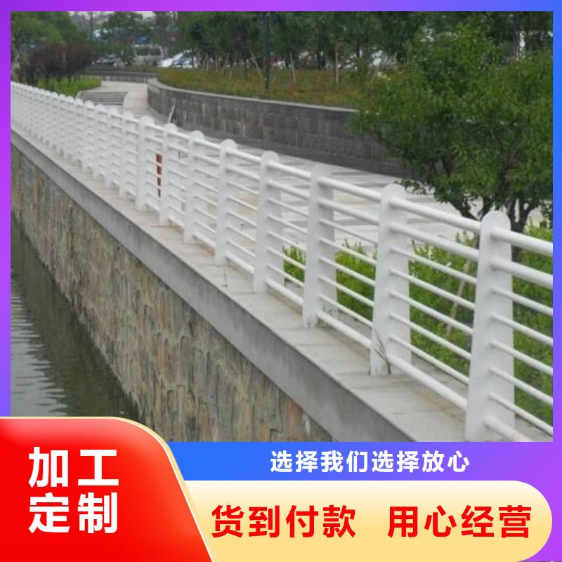 护栏_市政道路防护栏用品质赢得客户信赖本地货源
