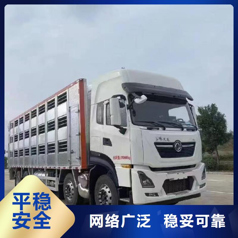 宿迁到牡丹种猪空调车运输专线运输