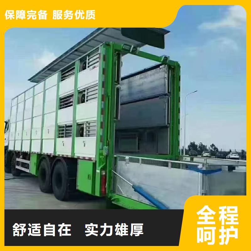 宿迁到武进仔猪运输设备精良