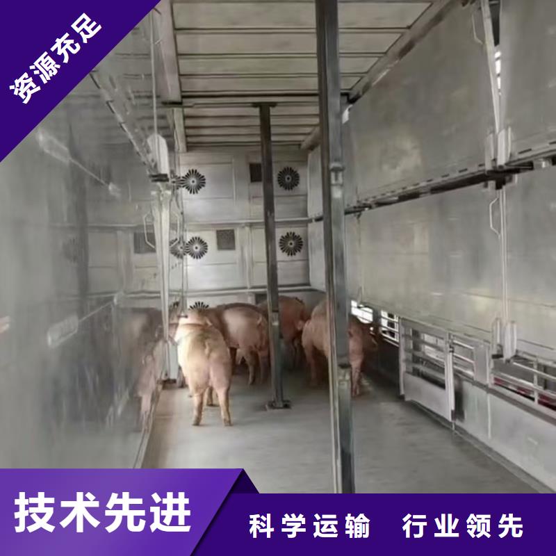 宿迁市到宿迁活禽运输快速