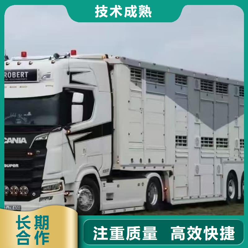 涟水到汝阳肥猪运输恒温车经验丰富