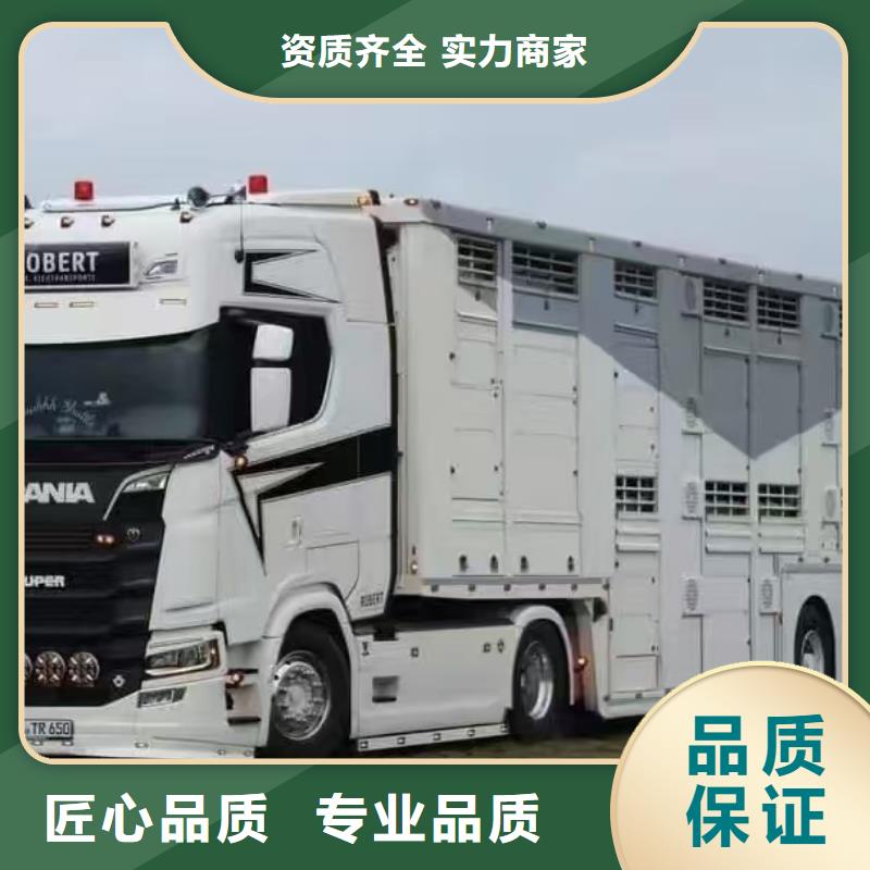 淮安到甘孜高栏车肥猪运输-恒温车专业服务