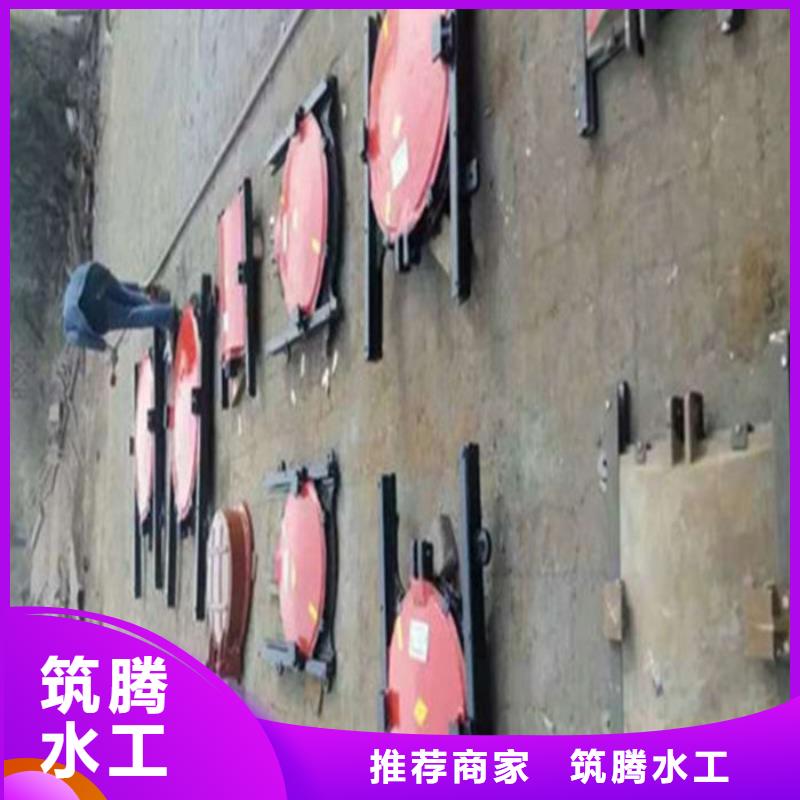 机闸一体式闸门厂家直营厂家自营