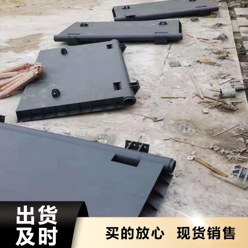 钢闸门除污机自主研发制造生产销售