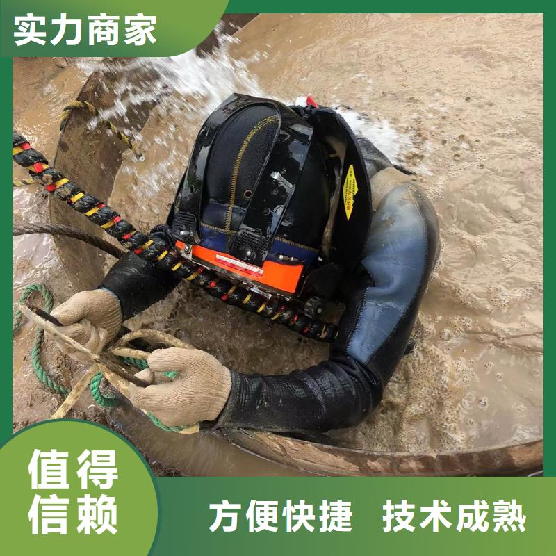 水下作业水下泵站检修工艺领先注重质量