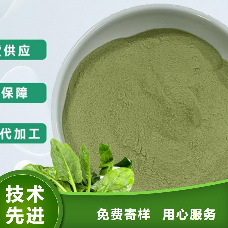 菠菜段生产订制批发
