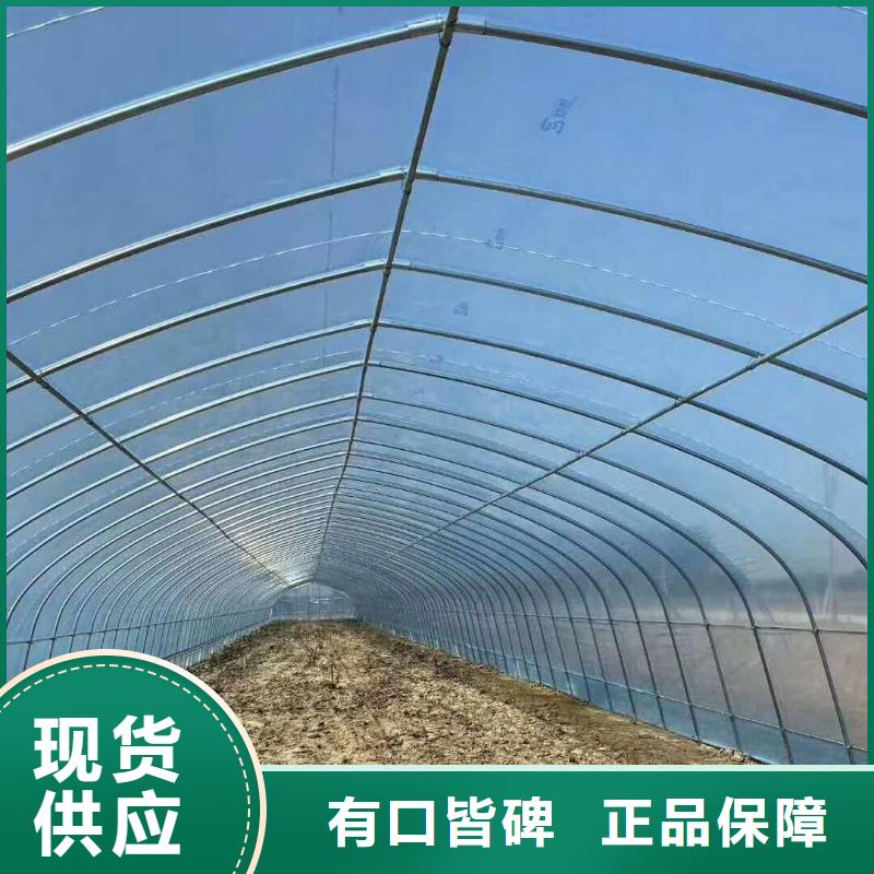【大棚管】连体大棚欢迎新老客户垂询本地公司