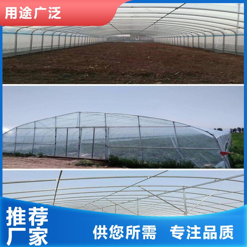 大棚管2-温室大棚经验丰富质量放心本地供应商