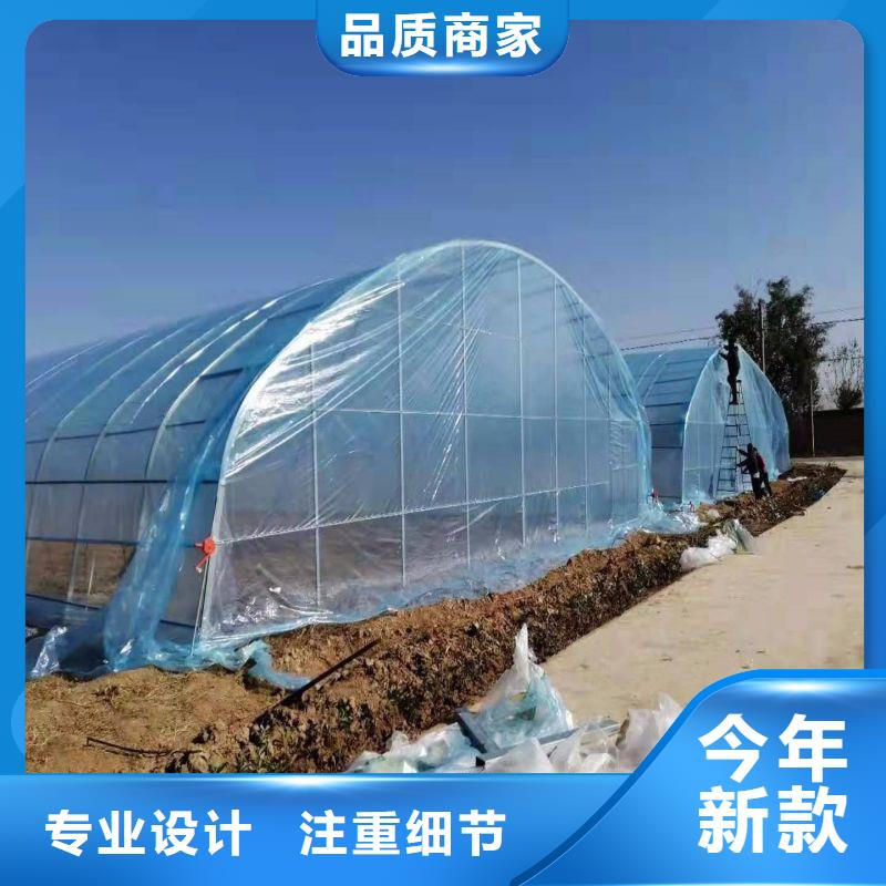 大棚管2【椭圆管温室大棚】实时报价就近发货