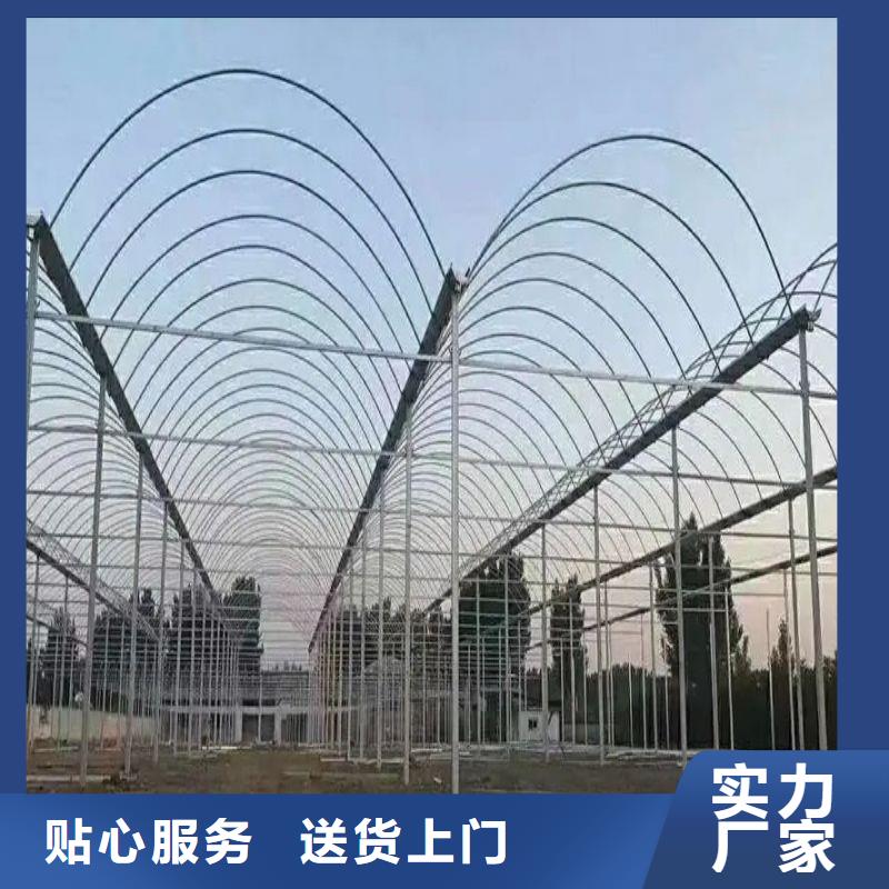 大棚管2【大棚骨架】快速生产同城生产商