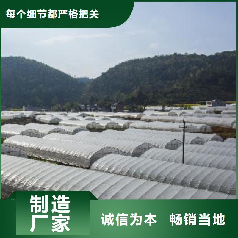 大棚管_连栋大棚管选择大厂家省事省心质量看得见