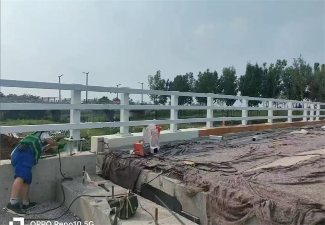 护栏【防撞桥梁护栏】源头采购