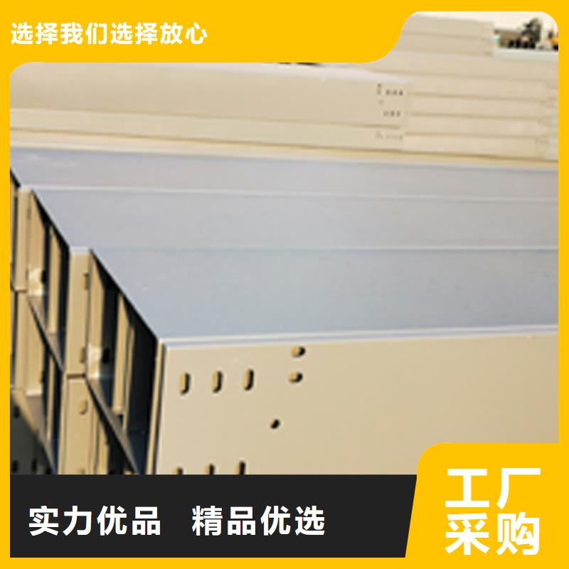 梯式桥架专业厂家全国发货当地服务商