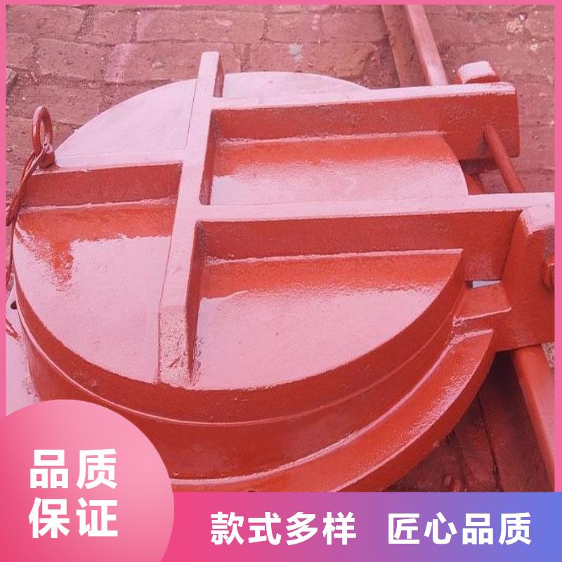 拍门卷扬启闭机厂家商家严选用料