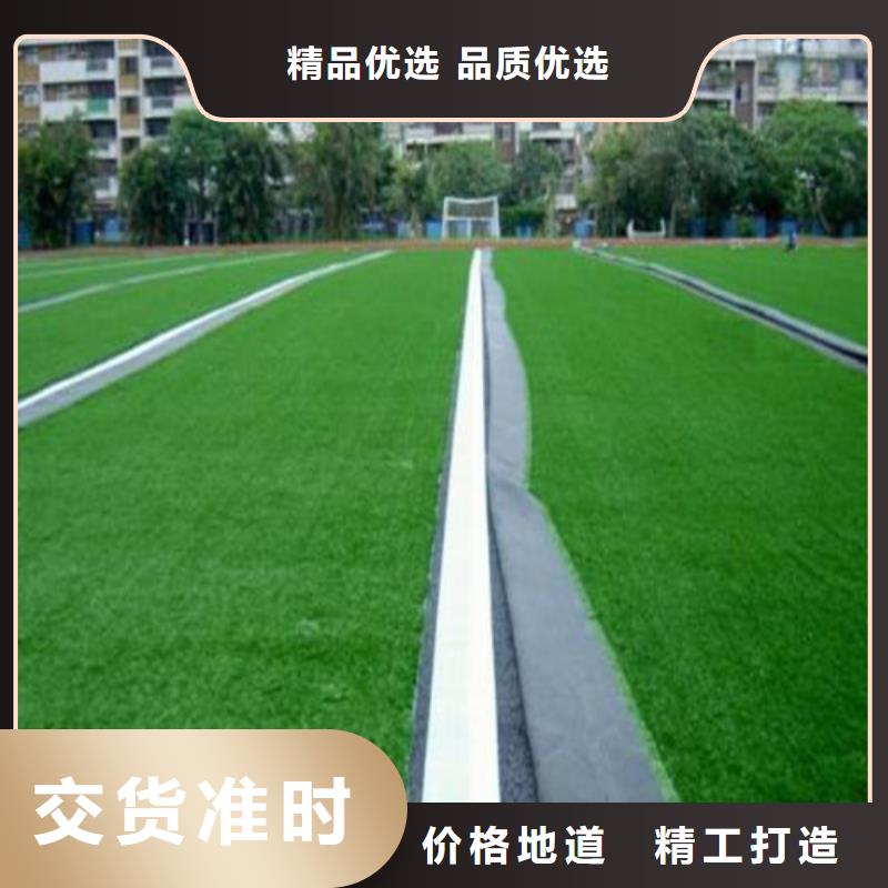 人造草坪,高密度人造草坪打造行业品质源厂直销
