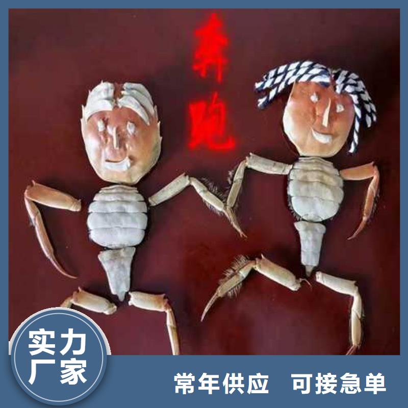 阳澄湖大闸蟹哪里正宗苏州莲花岛顾记蟹庄满足客户所需
