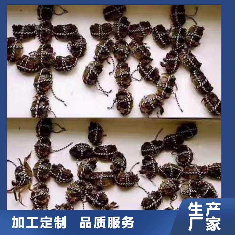 阳澄湖大闸蟹哪家正宗老客户钟爱