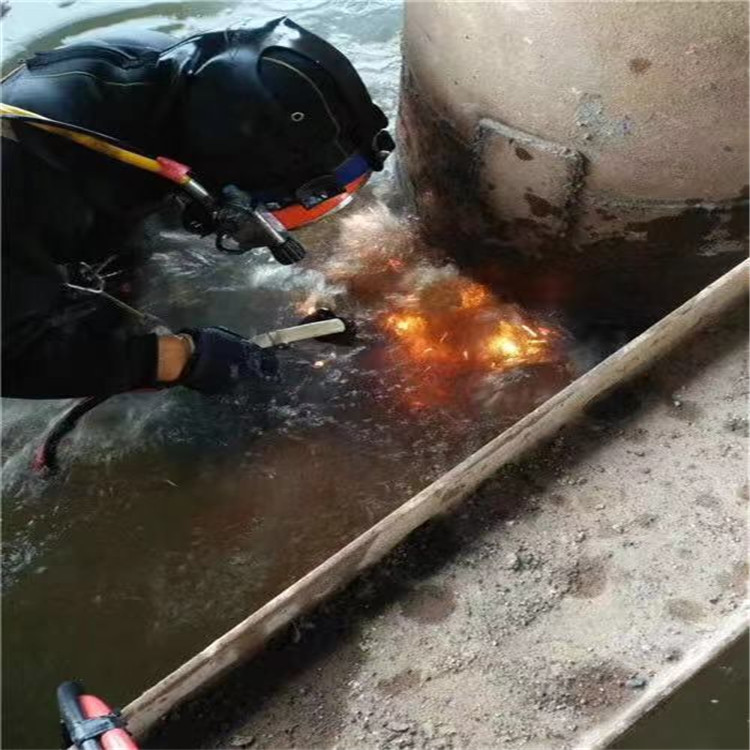 抚州市污水管道封堵-本地各种水下打捞提供作业