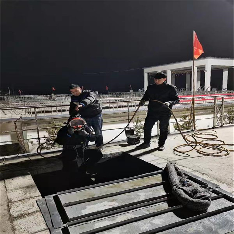 安阳市水下探摸录像公司-承接各种水下作业