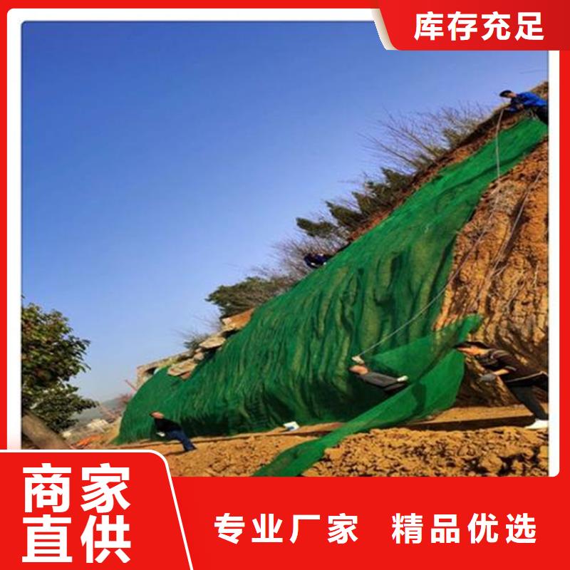 三维植被网_保湿布专业供货品质管控当地制造商