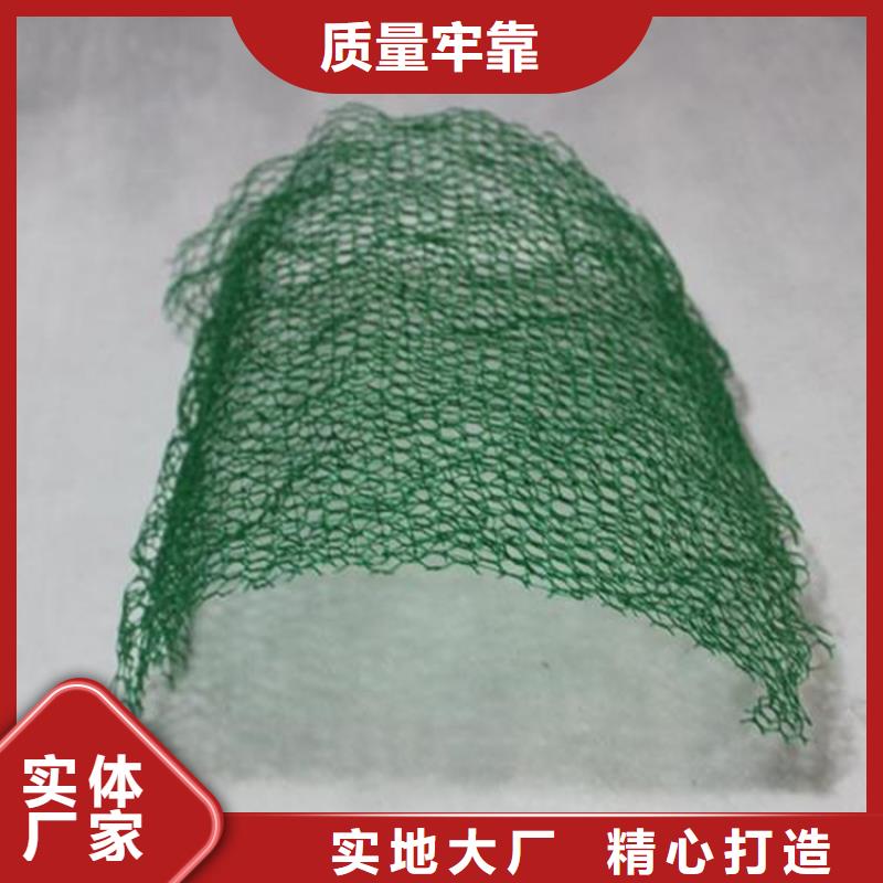 三维植被网防水板大厂生产品质工艺成熟