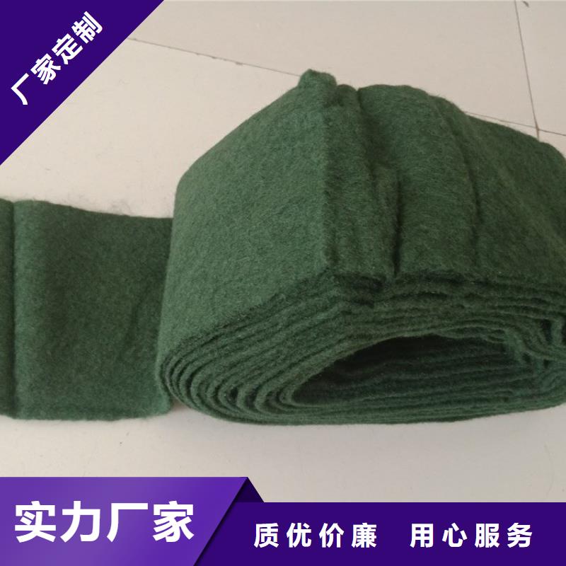 裹树布-土工布品质之选诚信厂家
