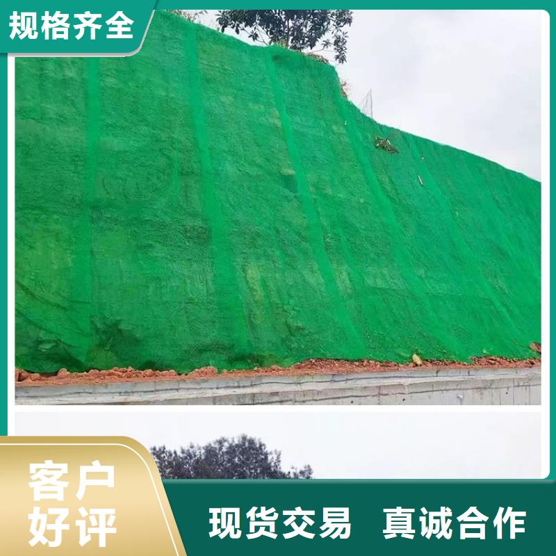【三维植被网】,铜止水生产厂家专业完善售后厂家实力雄厚