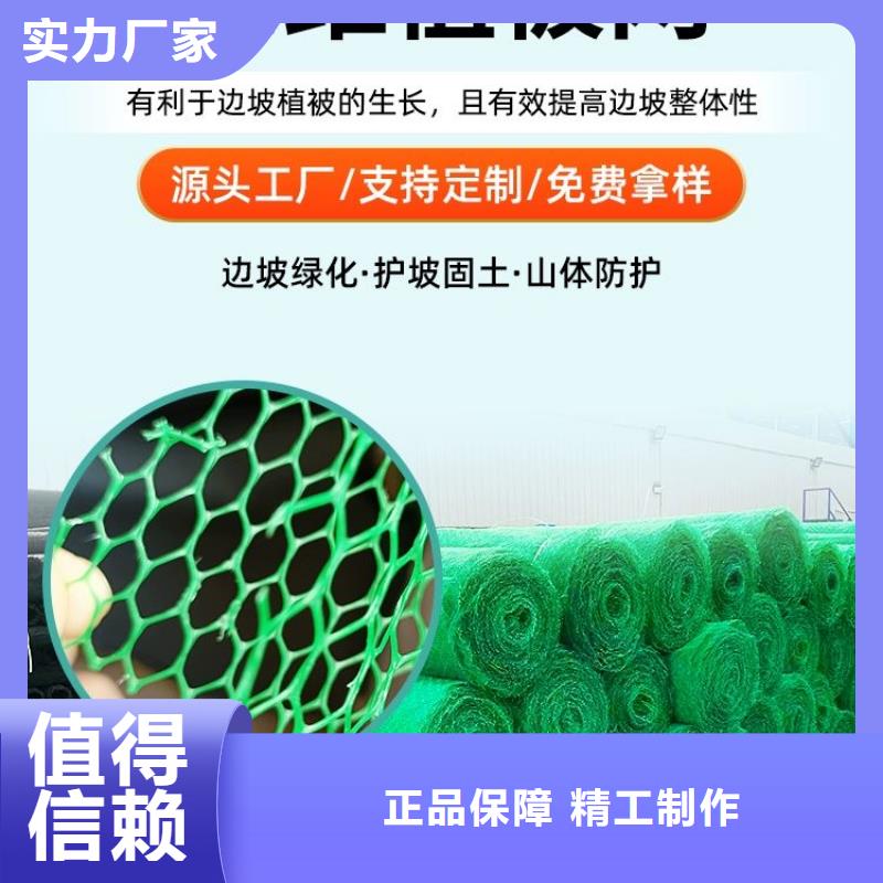 【三维植被网】,仿钢塑钢纤维高性价比本地服务商