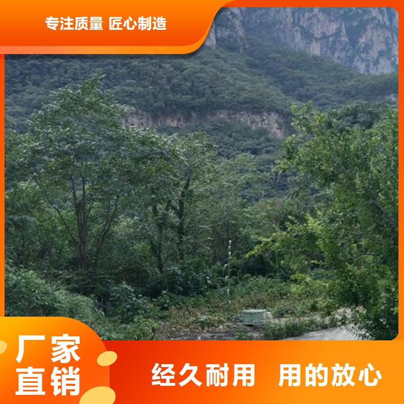 二次构造柱泵一站式供应厂家物流配货上门